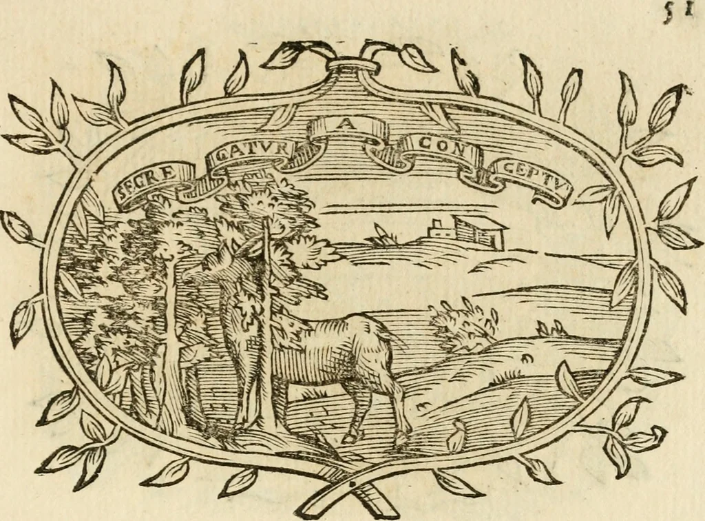 An illustration from Imprese dell' Offitioso, accademico intronato, 1628, leaf 334