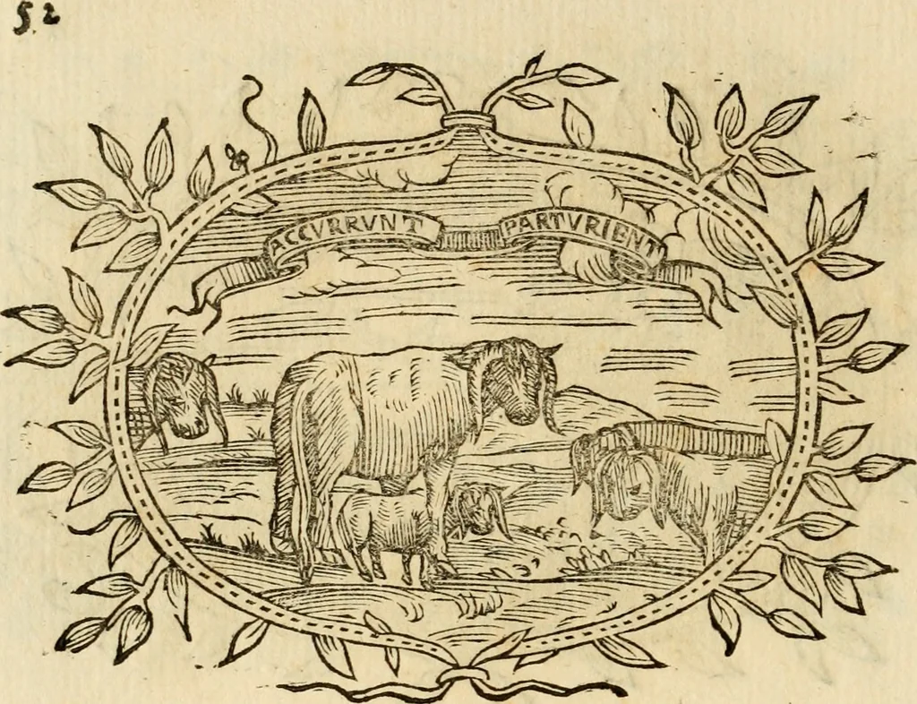 An illustration from Imprese dell' Offitioso, accademico intronato, 1628, leaf 335