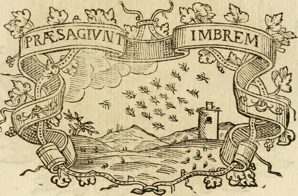 An illustration from Imprese dell' Offitioso, accademico intronato, 1628, leaf 350
