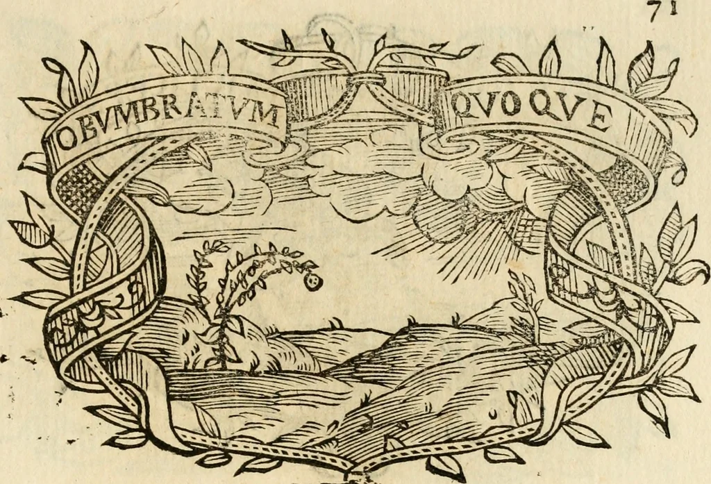 An illustration from Imprese dell' Offitioso, accademico intronato, 1628, leaf 352