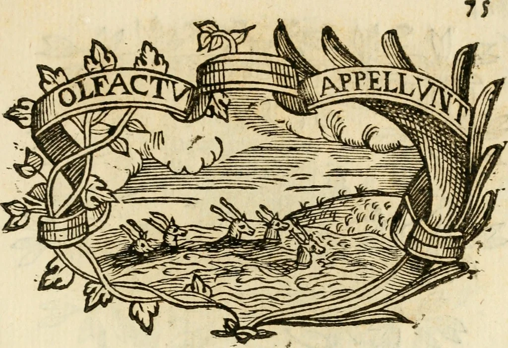 An illustration from Imprese dell' Offitioso, accademico intronato, 1628, leaf 358