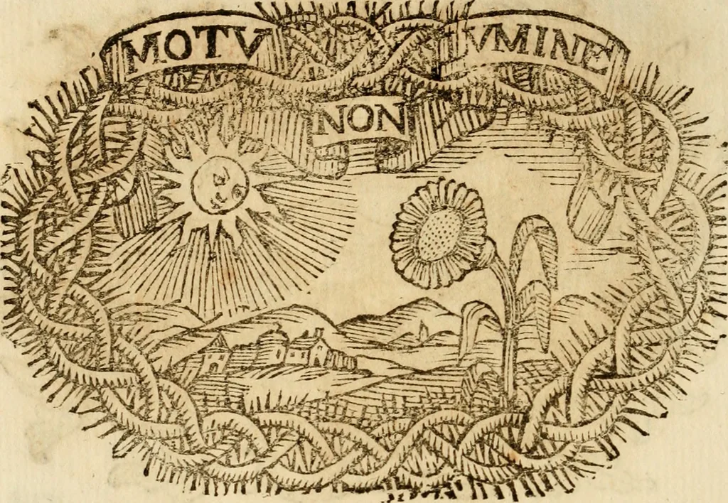 An illustration from Imprese dell' Offitioso, accademico intronato, 1628, leaf 397