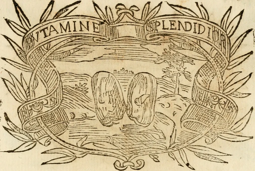 An illustration from Imprese dell' Offitioso, accademico intronato, 1628, leaf 398