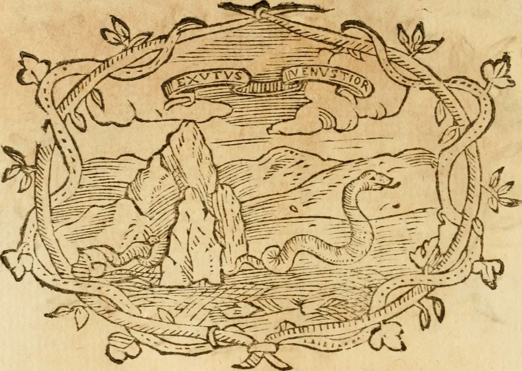 An illustration from Imprese dell' Offitioso, accademico intronato, 1628, leaf 415