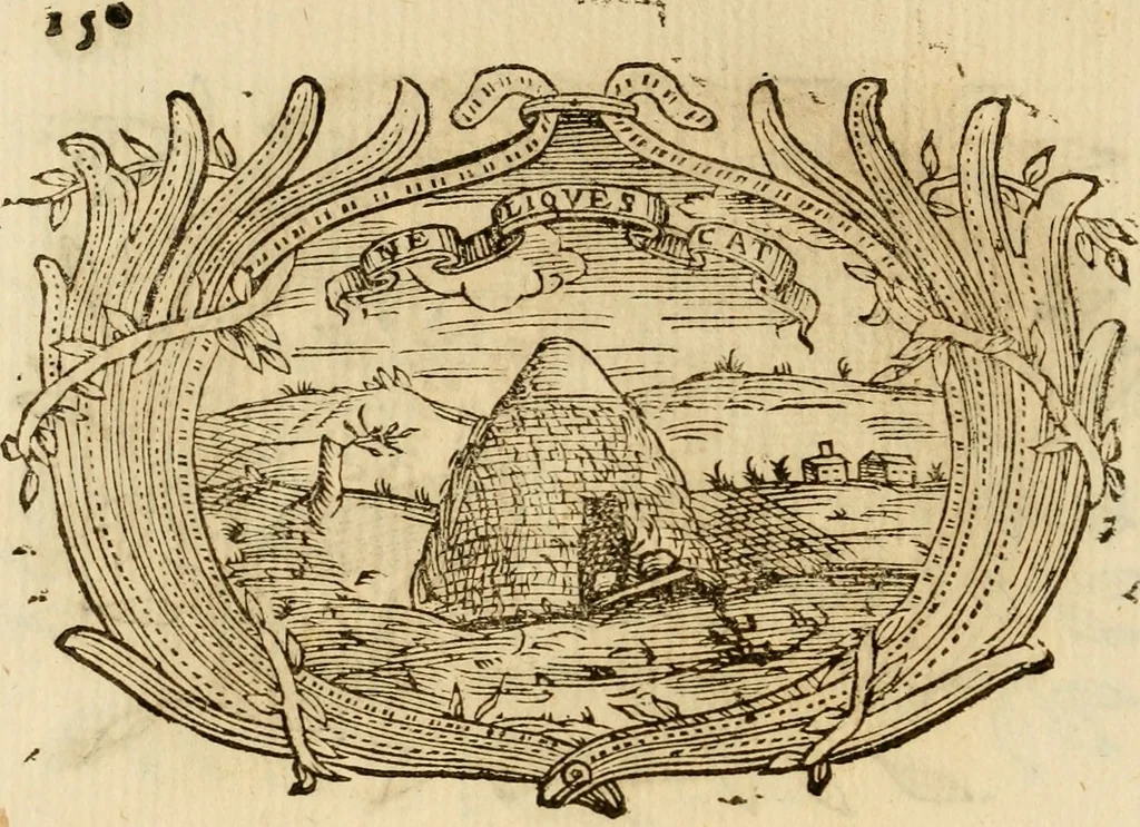 An illustration from Imprese dell' Offitioso, accademico intronato, 1628, leaf 425