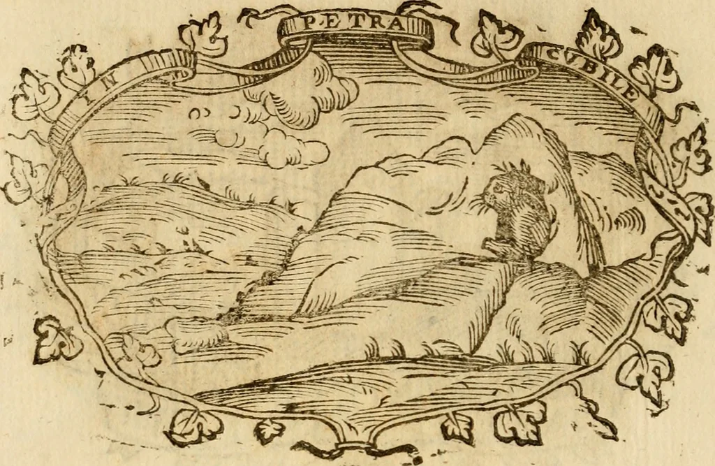 An illustration from Imprese dell' Offitioso, accademico intronato, 1628, leaf 427