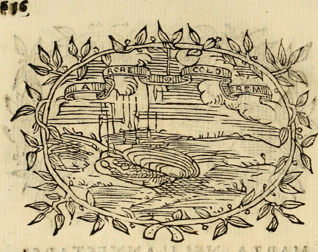 An illustration from Imprese dell' Offitioso, accademico intronato, 1628, leaf 431