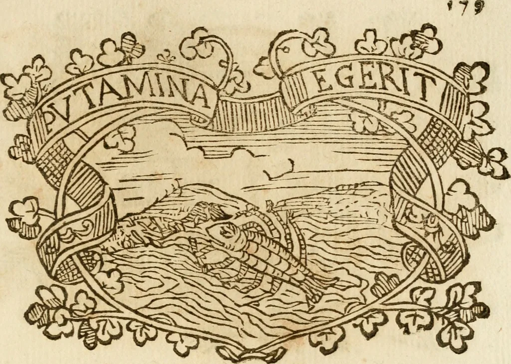 An illustration from Imprese dell' Offitioso, accademico intronato, 1628, leaf 454
