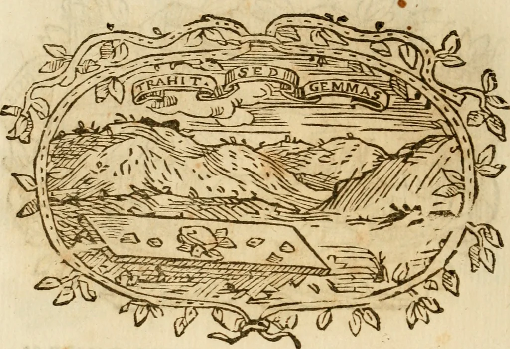An illustration from Imprese dell' Offitioso, accademico intronato, 1628, leaf 457