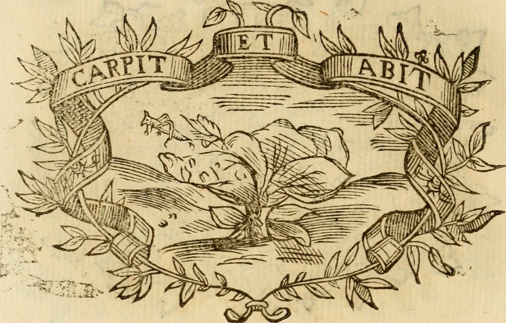 An illustration from Imprese dell' Offitioso, accademico intronato, 1628, leaf 487