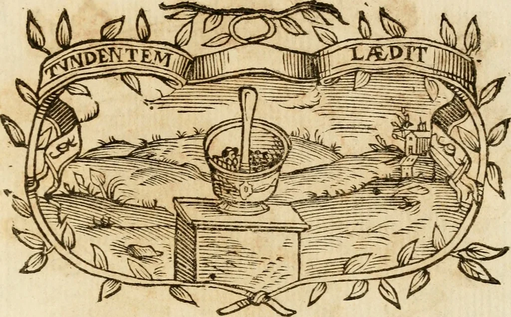 An illustration from Imprese dell' Offitioso, accademico intronato, 1628, leaf 508