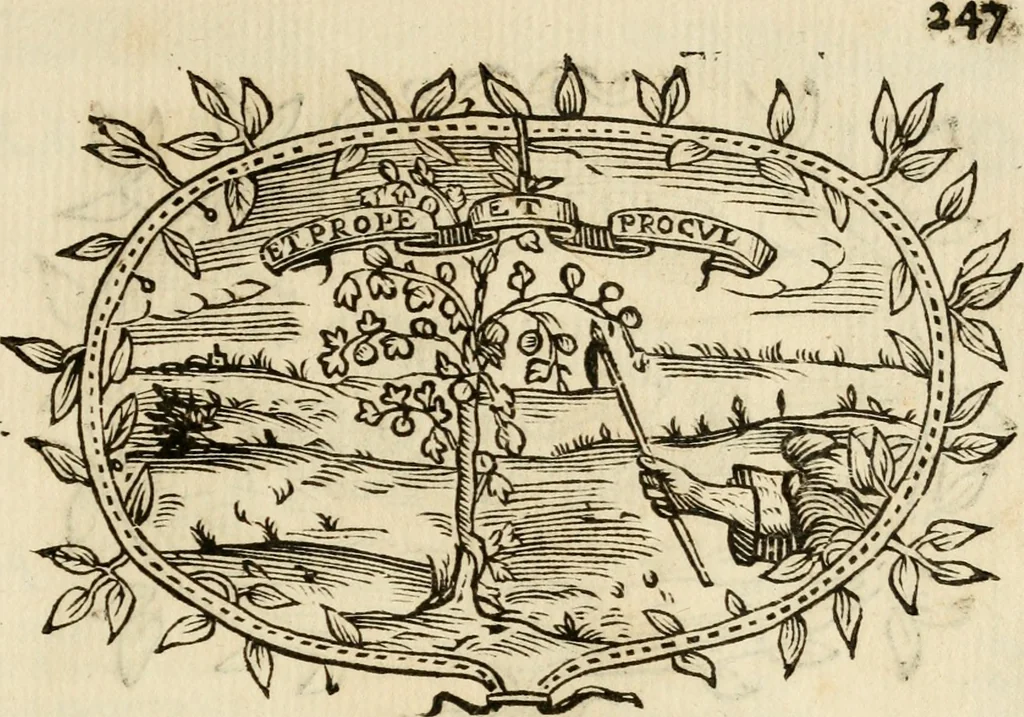 An illustration from Imprese dell' Offitioso, accademico intronato, 1628, leaf 522