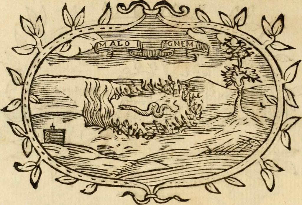 An illustration from Imprese dell' Offitioso, accademico intronato, 1628, leaf 523