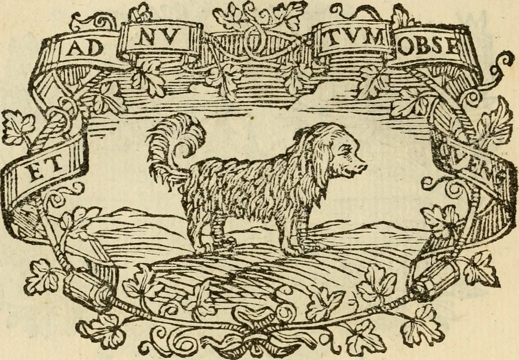 An illustration from Imprese dell' Offitioso, accademico intronato, 1628, leaf 85