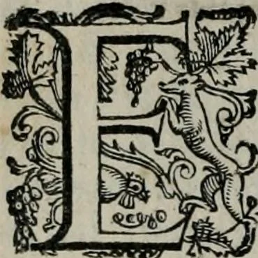 An illustration from Imprese illustri di diuersi : co i discorsi, 1586, leaf 105