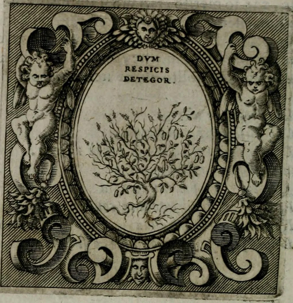 An illustration from Imprese illustri di diuersi : co i discorsi, 1586, leaf 111