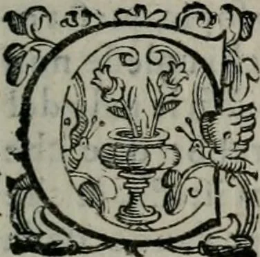 An illustration from Imprese illustri di diuersi : co i discorsi, 1586, leaf 126