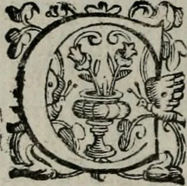An illustration from Imprese illustri di diuersi : co i discorsi, 1586, leaf 135