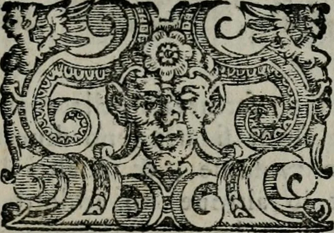 An illustration from Imprese illustri di diuersi : co i discorsi, 1586, leaf 146