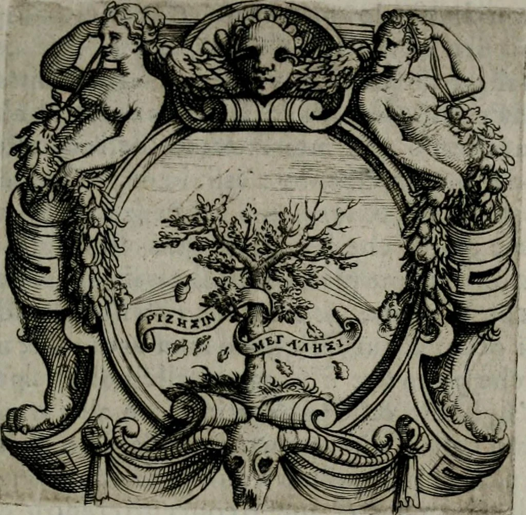 An illustration from Imprese illustri di diuersi : co i discorsi, 1586, leaf 150