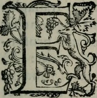 An illustration from Imprese illustri di diuersi : co i discorsi, 1586, leaf 150