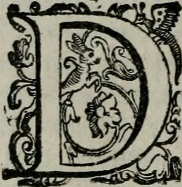 An illustration from Imprese illustri di diuersi : co i discorsi, 1586, leaf 153