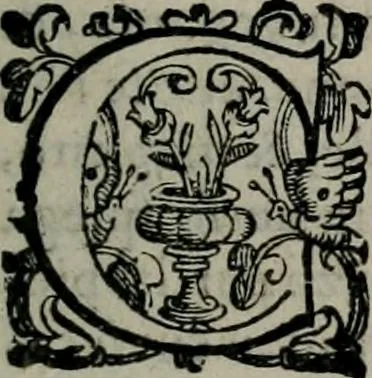 An illustration from Imprese illustri di diuersi : co i discorsi, 1586, leaf 164