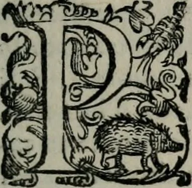 An illustration from Imprese illustri di diuersi : co i discorsi, 1586, leaf 188