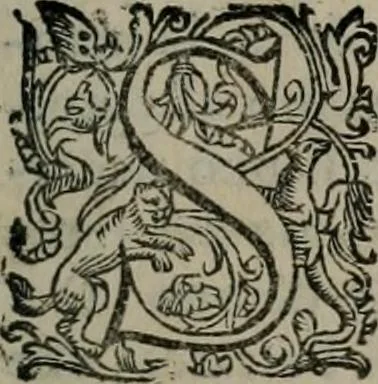 An illustration from Imprese illustri di diuersi : co i discorsi, 1586, leaf 204