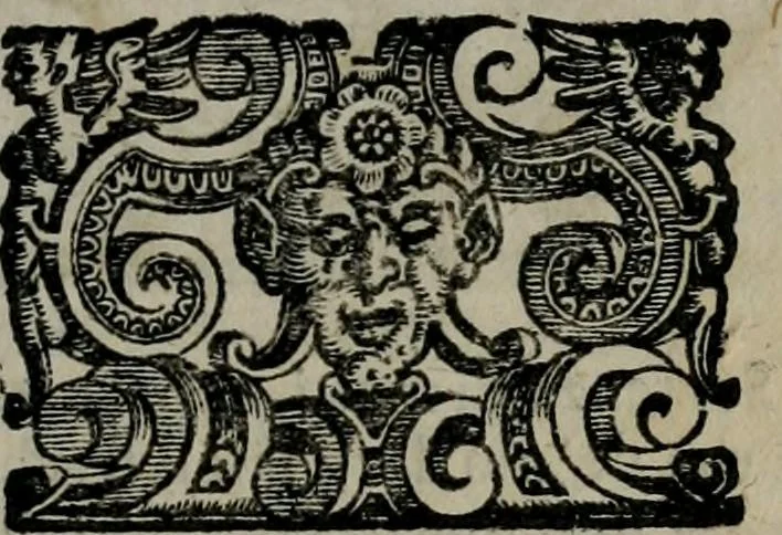 An illustration from Imprese illustri di diuersi : co i discorsi, 1586, leaf 206