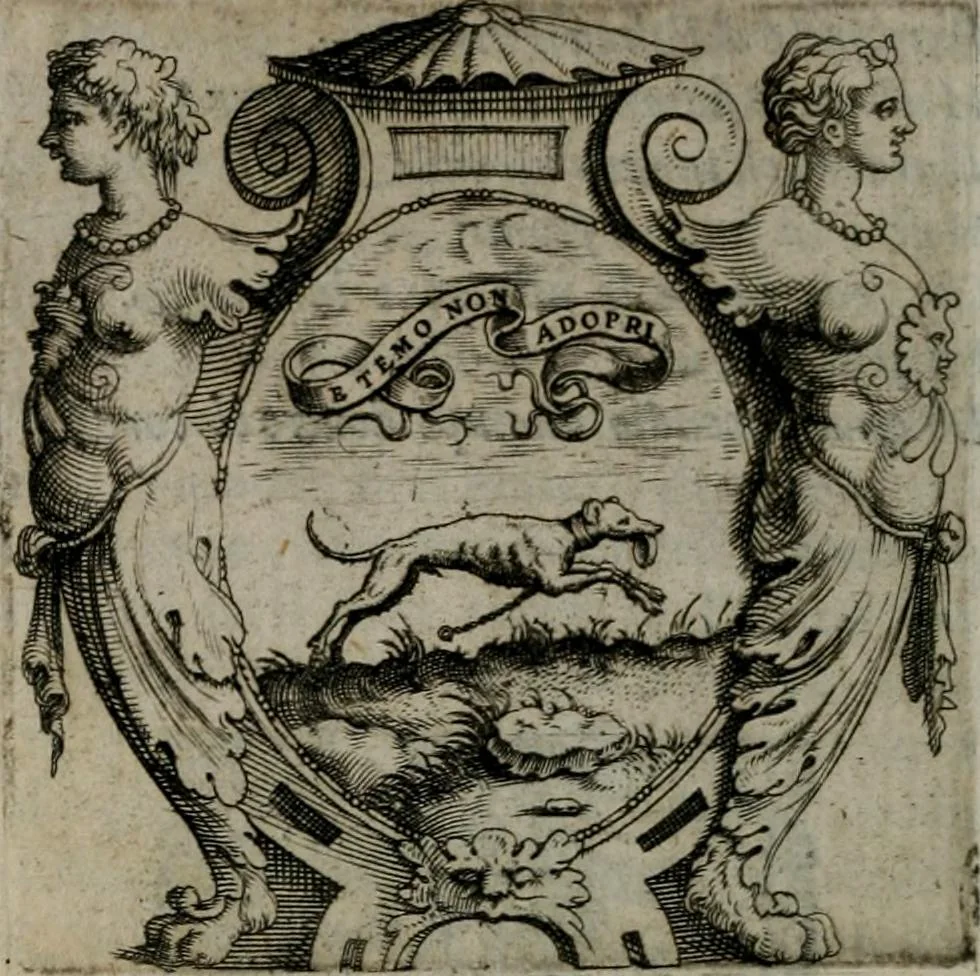 An illustration from Imprese illustri di diuersi : co i discorsi, 1586, leaf 207