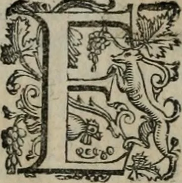 An illustration from Imprese illustri di diuersi : co i discorsi, 1586, leaf 207