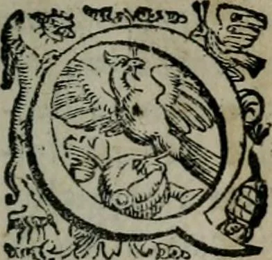 An illustration from Imprese illustri di diuersi : co i discorsi, 1586, leaf 210