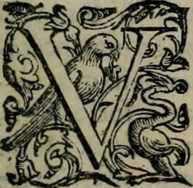 An illustration from Imprese illustri di diuersi : co i discorsi, 1586, leaf 216