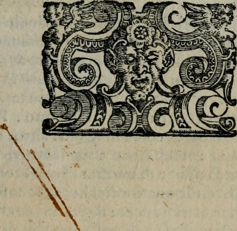 An illustration from Imprese illustri di diuersi : co i discorsi, 1586, leaf 218