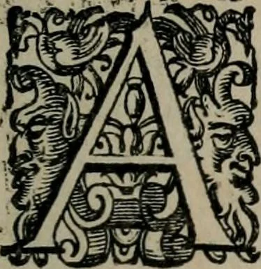 An illustration from Imprese illustri di diuersi : co i discorsi, 1586, leaf 228