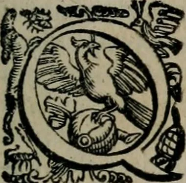 An illustration from Imprese illustri di diuersi : co i discorsi, 1586, leaf 234