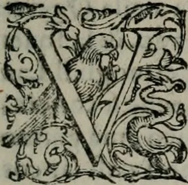 An illustration from Imprese illustri di diuersi : co i discorsi, 1586, leaf 246