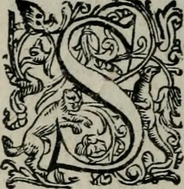 An illustration from Imprese illustri di diuersi : co i discorsi, 1586, leaf 261