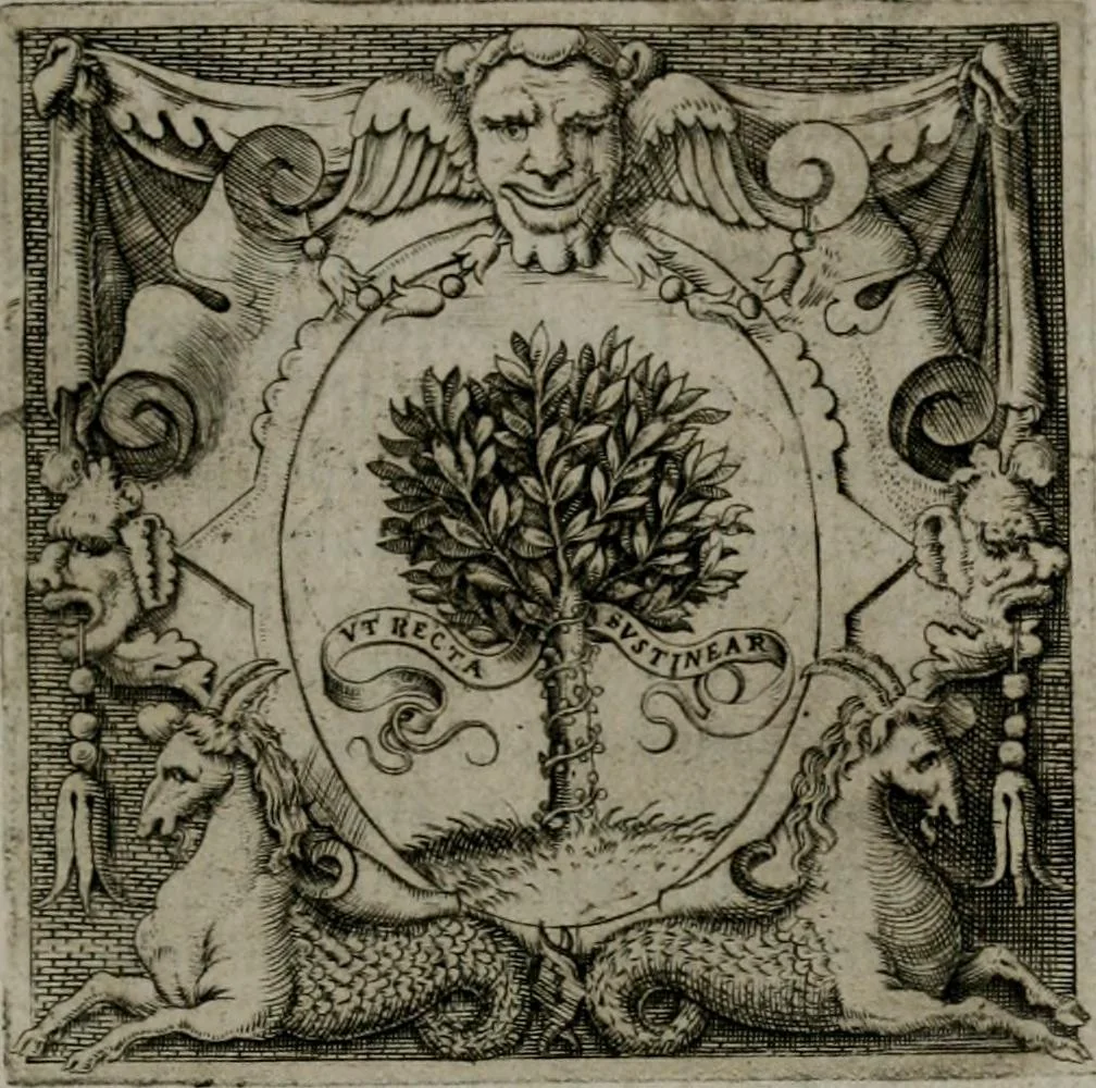An illustration from Imprese illustri di diuersi : co i discorsi, 1586, leaf 264