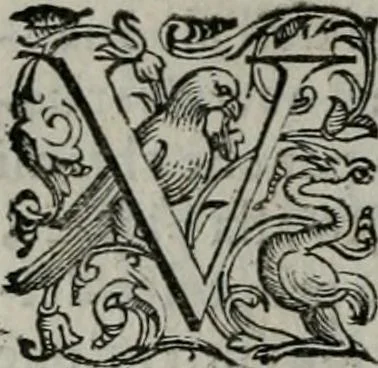 An illustration from Imprese illustri di diuersi : co i discorsi, 1586, leaf 27