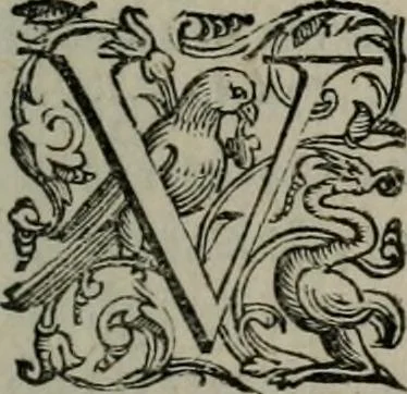 An illustration from Imprese illustri di diuersi : co i discorsi, 1586, leaf 270