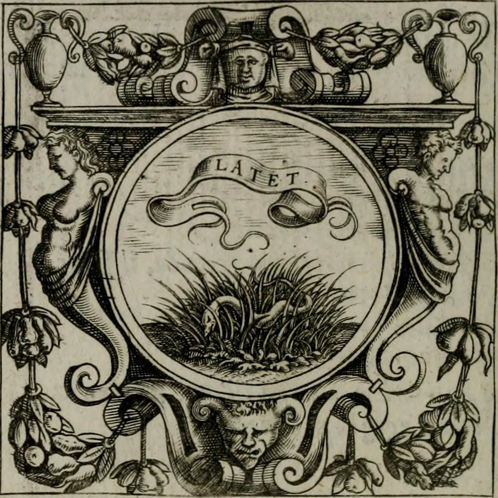 An illustration from Imprese illustri di diuersi : co i discorsi, 1586, leaf 273