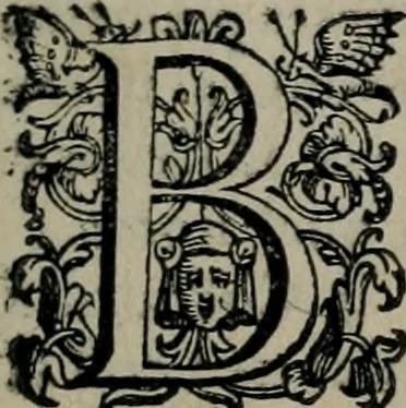 An illustration from Imprese illustri di diuersi : co i discorsi, 1586, leaf 294