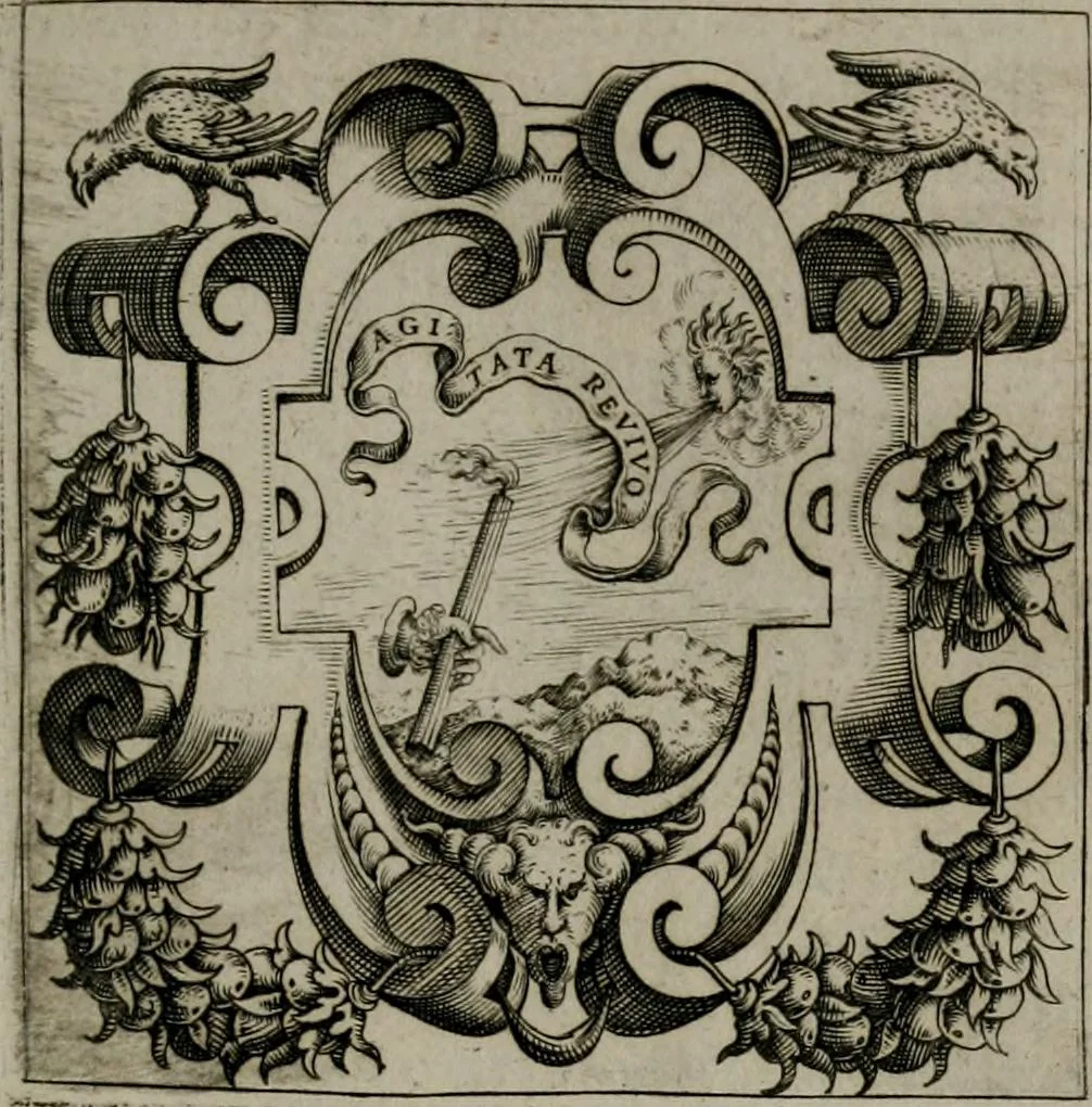 An illustration from Imprese illustri di diuersi : co i discorsi, 1586, leaf 306