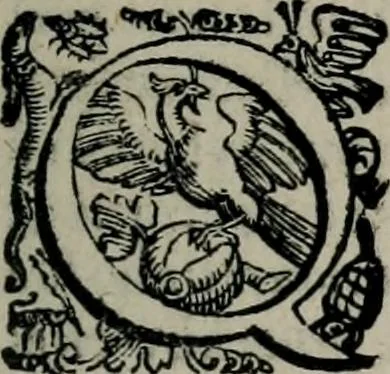 An illustration from Imprese illustri di diuersi : co i discorsi, 1586, leaf 306