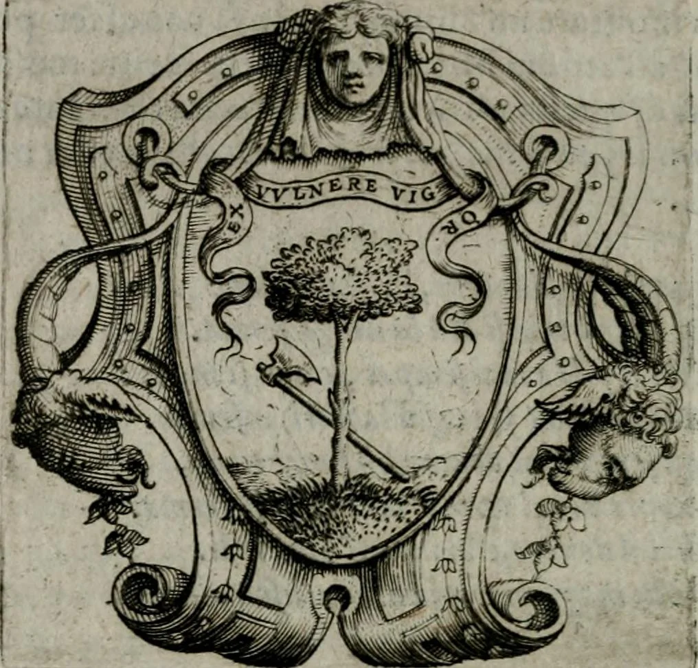 An illustration from Imprese illustri di diuersi : co i discorsi, 1586, leaf 315