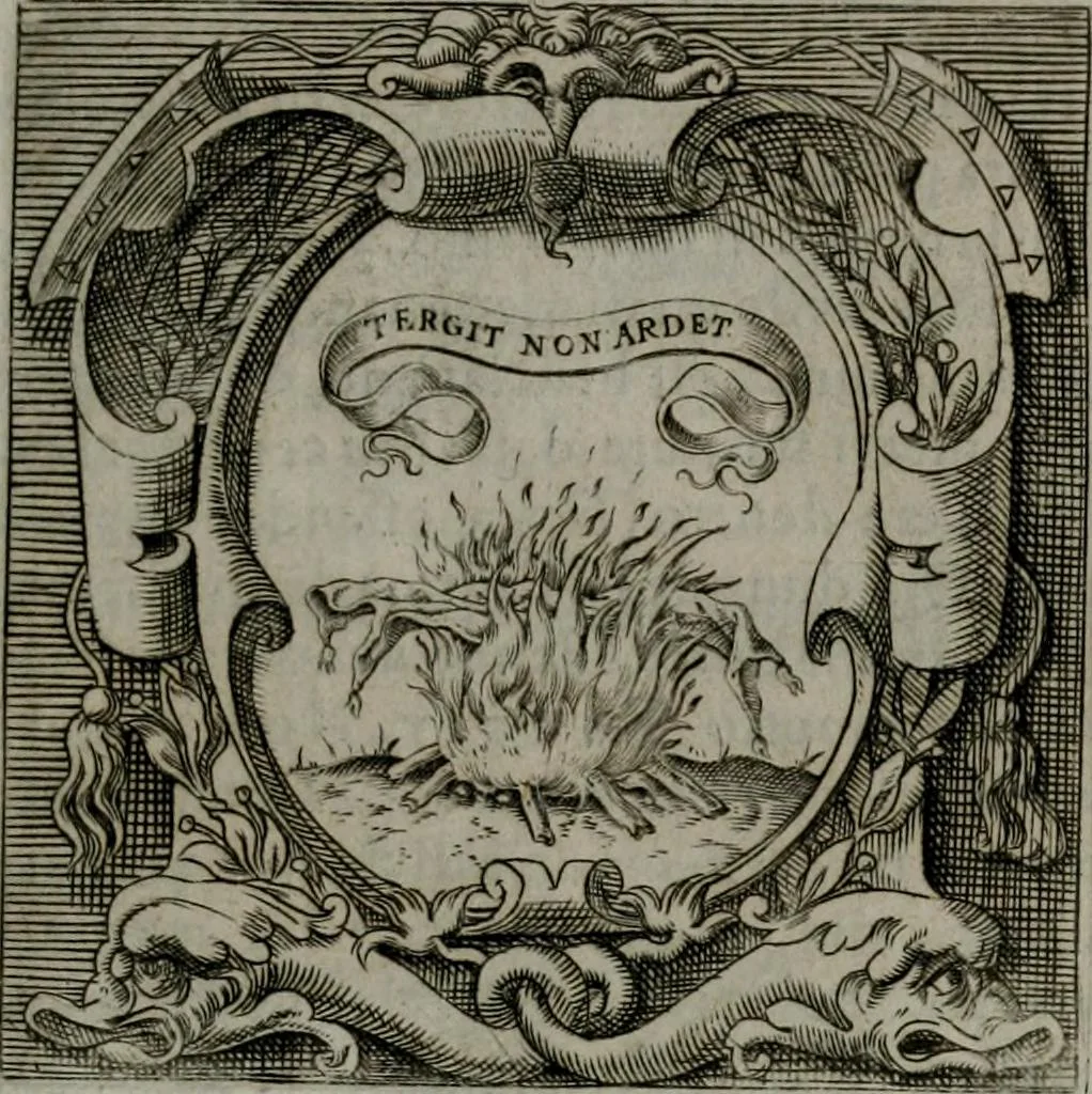 An illustration from Imprese illustri di diuersi : co i discorsi, 1586, leaf 330