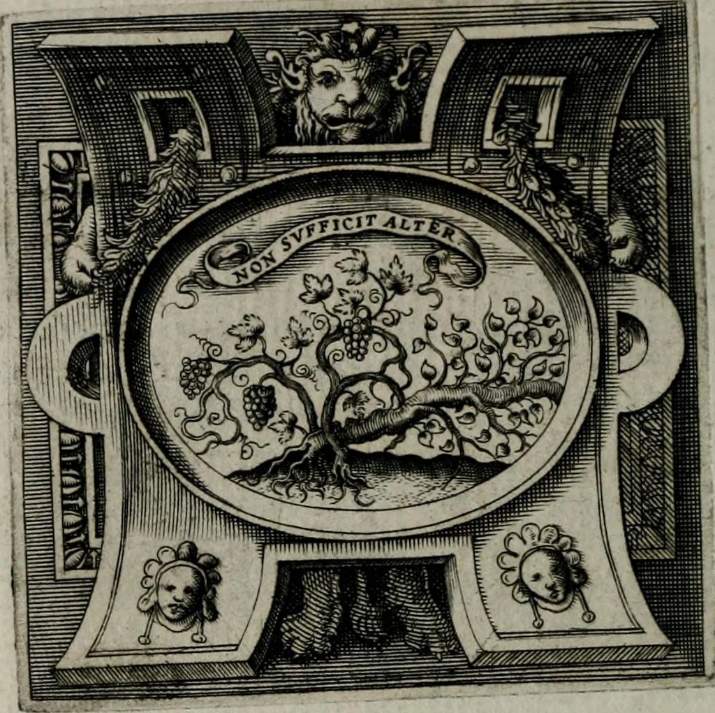 An illustration from Imprese illustri di diuersi : co i discorsi, 1586, leaf 339