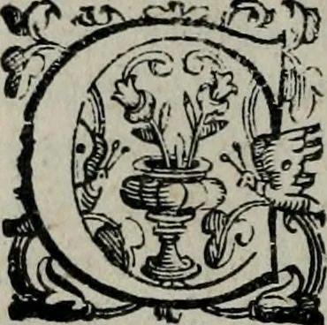 An illustration from Imprese illustri di diuersi : co i discorsi, 1586, leaf 339